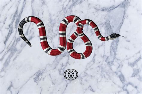 gucci pet snake|gucci snake meaning.